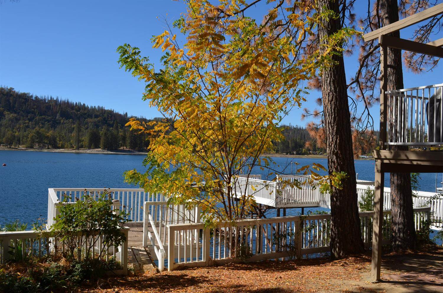 Amazing Lakefront Bass Lake Vacation Rental for Sale 2018 Bass Lake