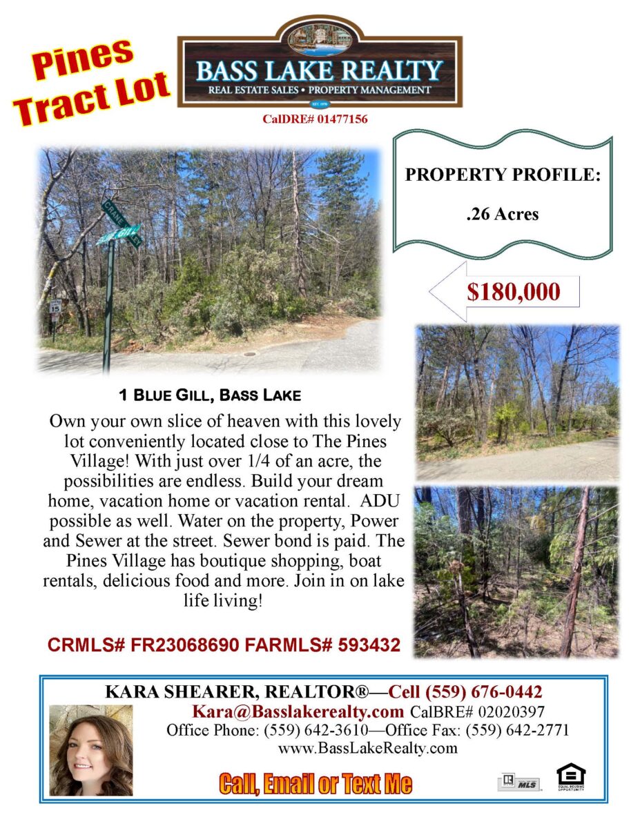1 Blue Gill Pines Tract Bass Lake Lot For Sale * Bass Lake Realty