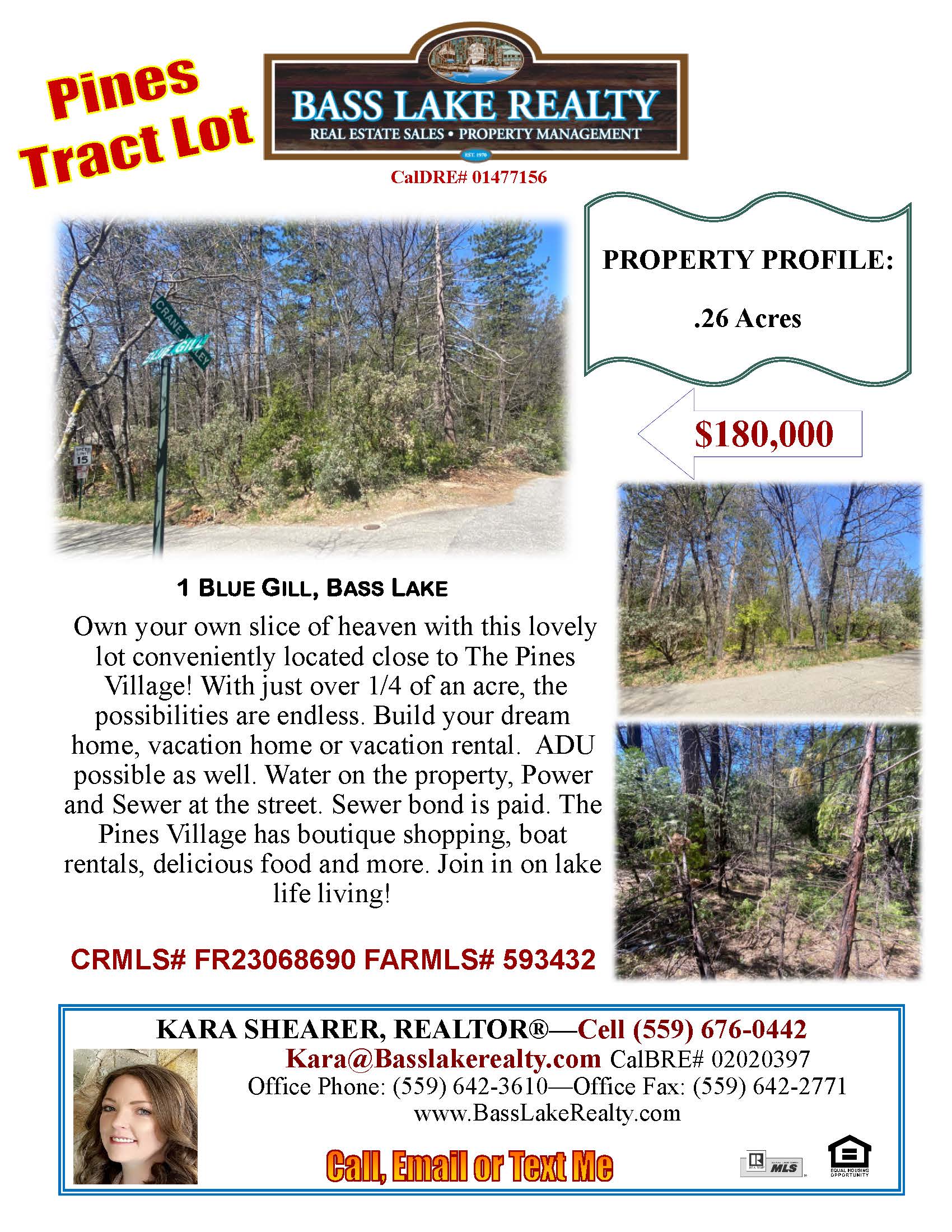 1 Blue Gill Pines Tract Bass Lake Lot For Sale * Bass Lake Realty