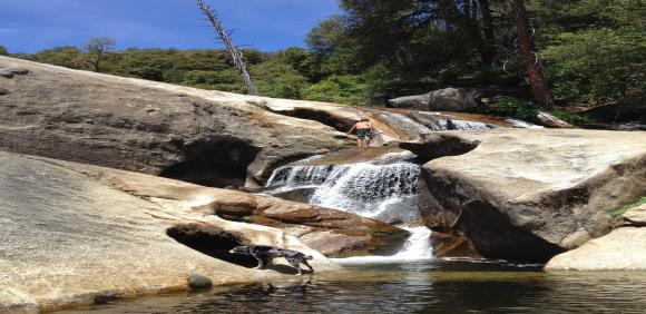 The Falls Bass Lake California 2025
