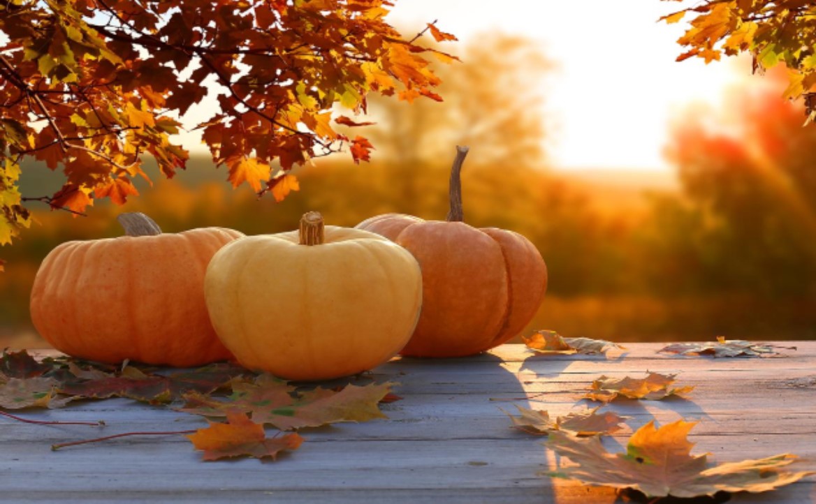 Pumpkins on a Outdoor Table with Autumn Leaves on Trees in the Background with the Setting Sun Shining Through the Leaves  